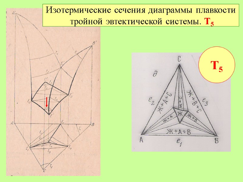 Изотермические сечения диаграммы плавкости  тройной эвтектической системы. Т5  Т5